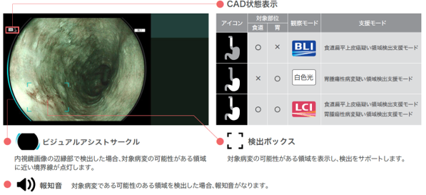 病変の可能性のある部分を表示画像